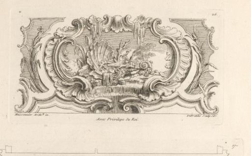 Still Life of Shells, Plants, and Coral Branches on a Waterfall