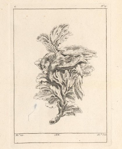 Ornament with a dead dove on a branch