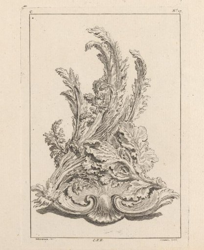 Ornament with plants on a shell