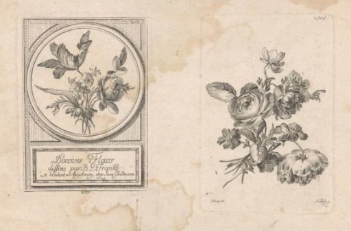 Various flowers