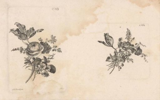 Various flowers