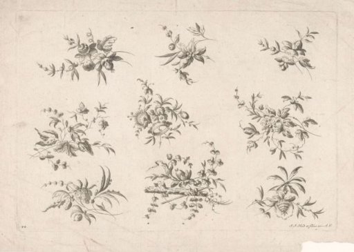 Nine fantasy flowers