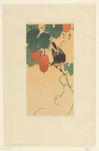 Songbird on a plant with red fruit