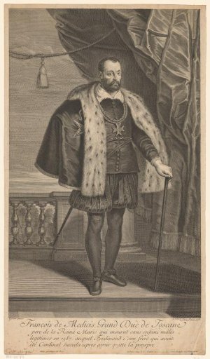 Portrait of Francesco I de' Medici