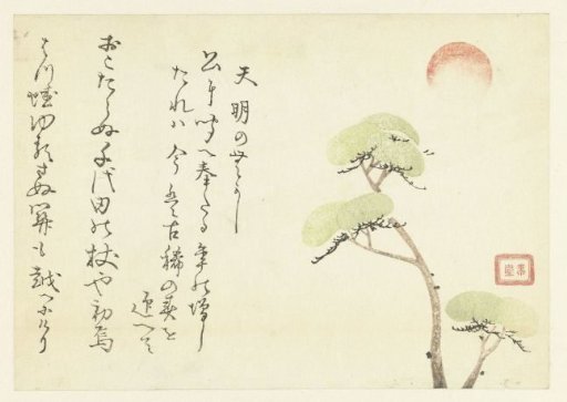 Pine Trees