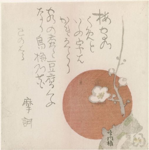 Blossom and setting sun