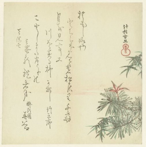Pine Trees
