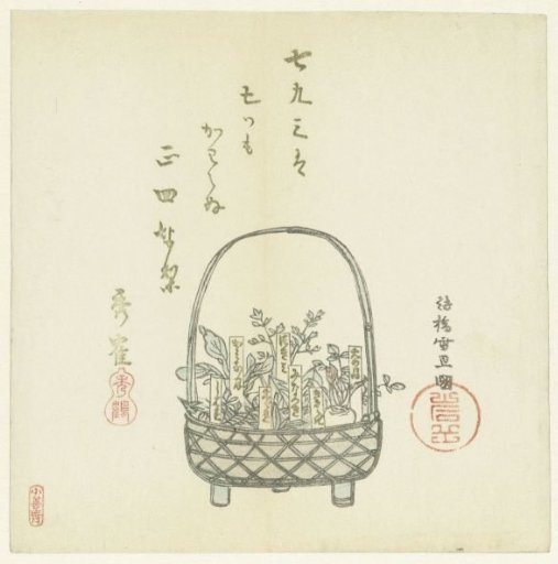 A Basket of Young Shoots