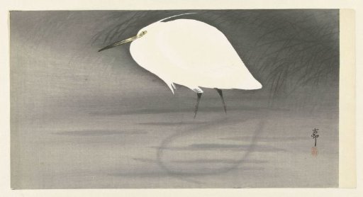 Silver heron