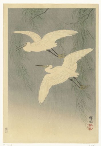 Little silver herons in flight