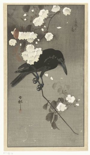 Crow with cherry blossoms