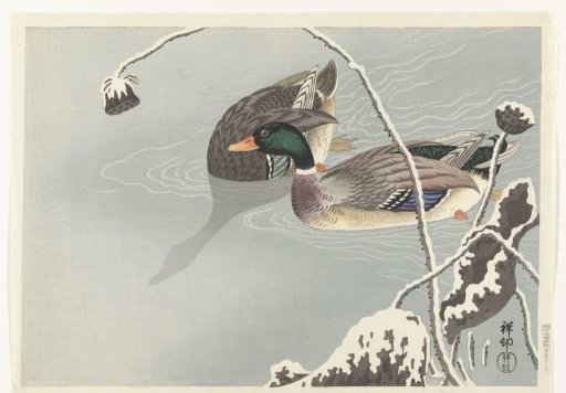 Two Mallards near a Snow-Covered Lotus