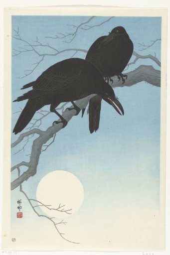 Two crows on a branch