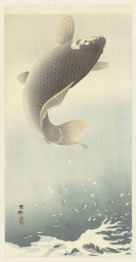 Leaping Carp