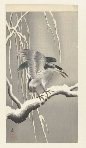 Little grebe on a snow-covered branch