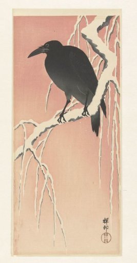 Crow on a snow-covered branch