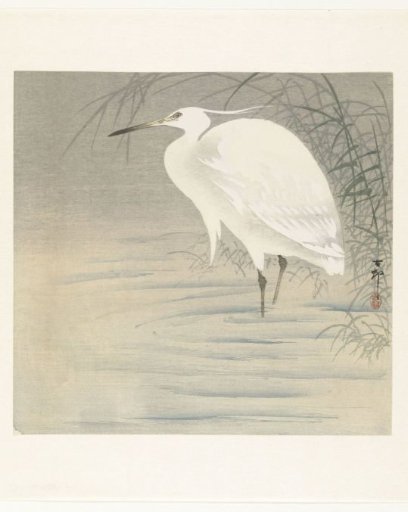 Little silver heron