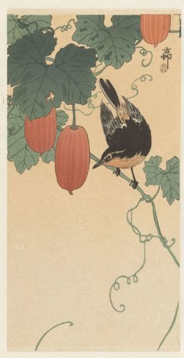 Bird and kaki