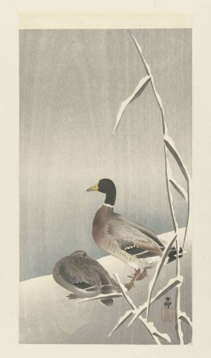 Two ducks on a snow-covered reed bank