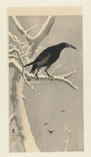 Crow on a snow-covered tree branch