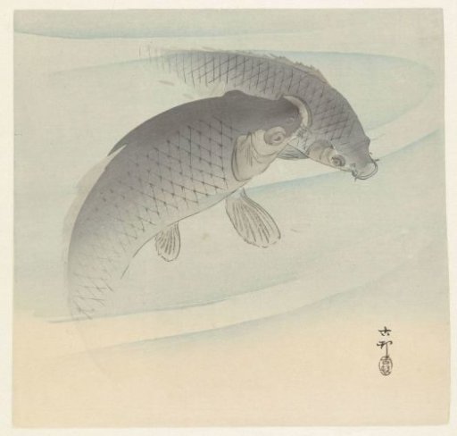 Two carp