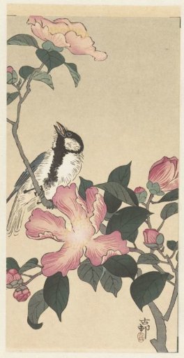 Great tit on a branch with pink flowers