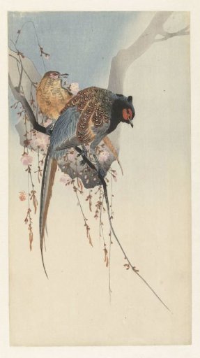 Pair of pheasants and plum blossoms