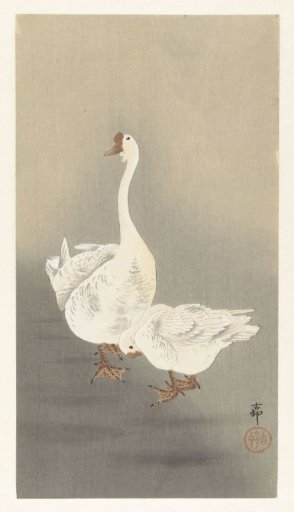 Two geese