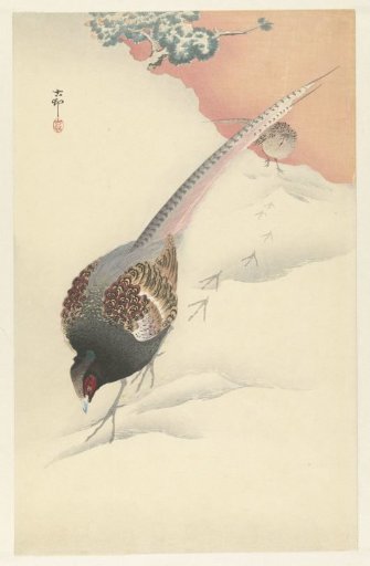 Pair of pheasants in the snow