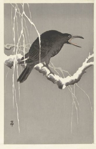 Crow on a snow-covered tree branch