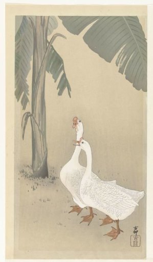 Two geese by a banana tree