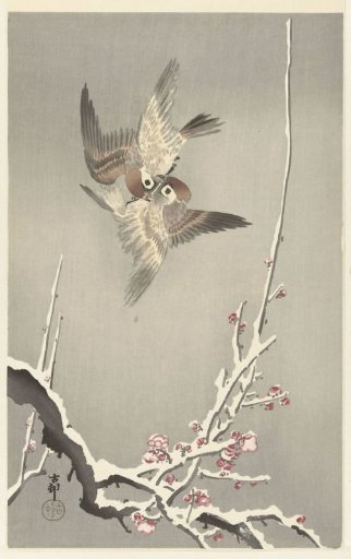 Sparrows and a Plum Tree Covered in Snow