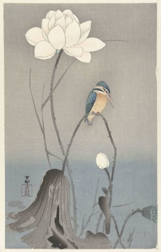 Kingfisher with Lotus Flower