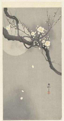 Plum blossoms and full moon