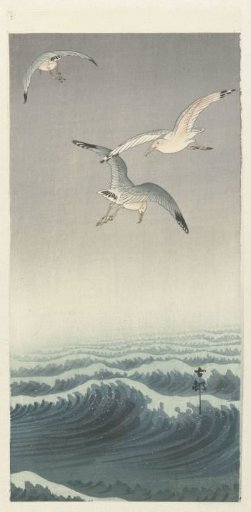 Three gulls