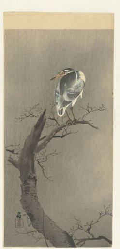 Sparrow on a Branch
