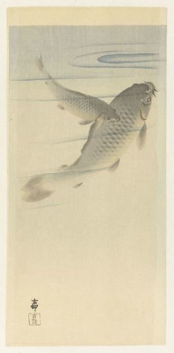 Carps