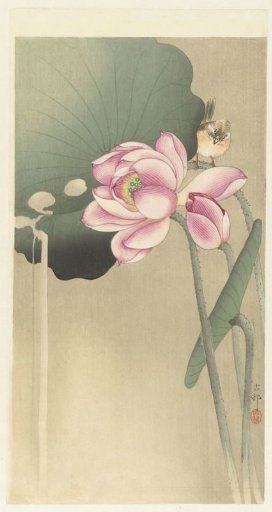 Songbird and Lotus