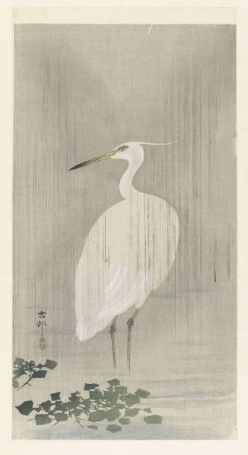 Silver Heron in the Rain