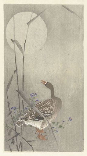 Goose by the Full Moon
