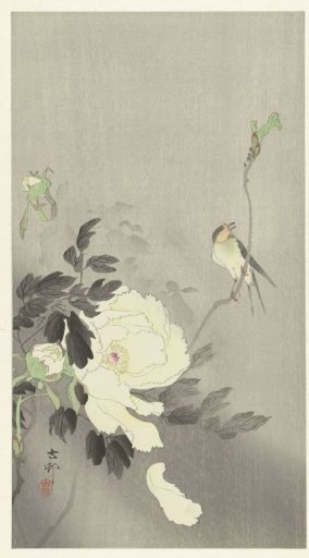 Swallow with Peony