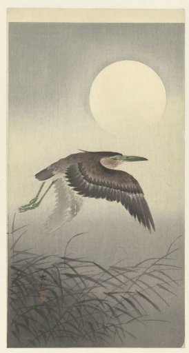 Heron by the Full Moon