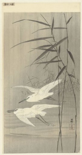 Two Silver Herons in Flight