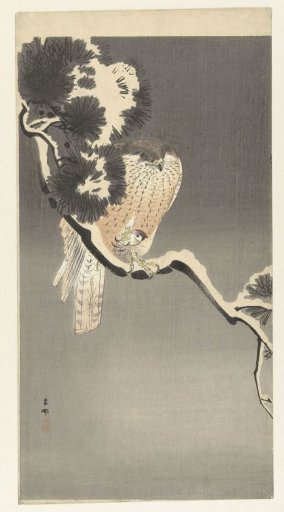 Hawk with a Sparrow