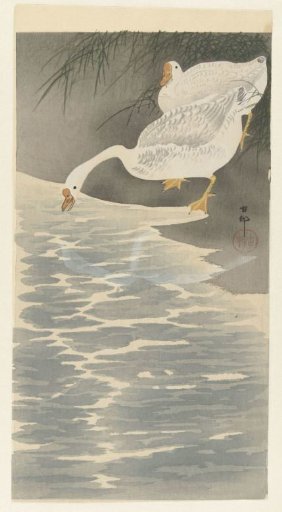 Geese on the Shore