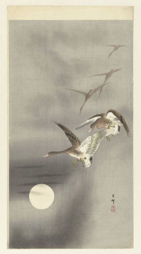 Geese in Flight