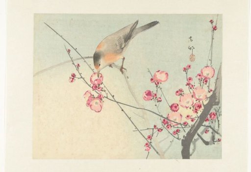 Songbird on a Blossoming Branch
