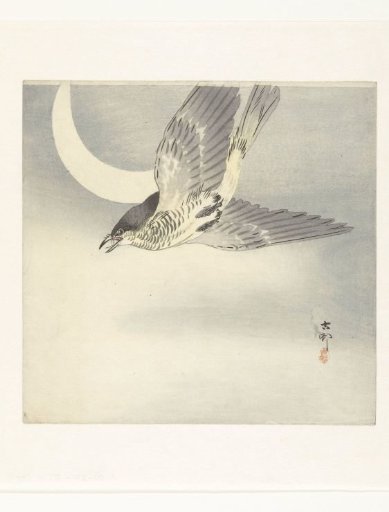 Cuckoo by the Waxing Moon