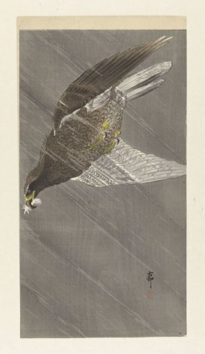 Downward-Flying Eagle