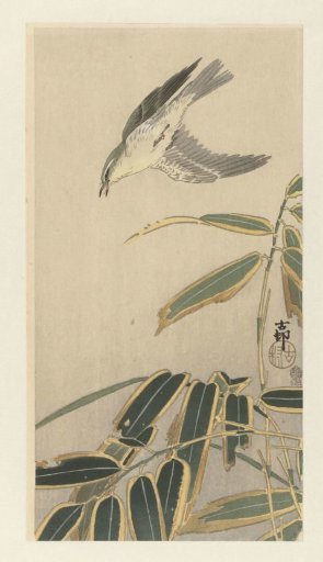 Lapwing by the Bamboo